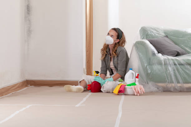 Trusted Mold Inspection service in East Lansing, MI - WQB Mold Removal
